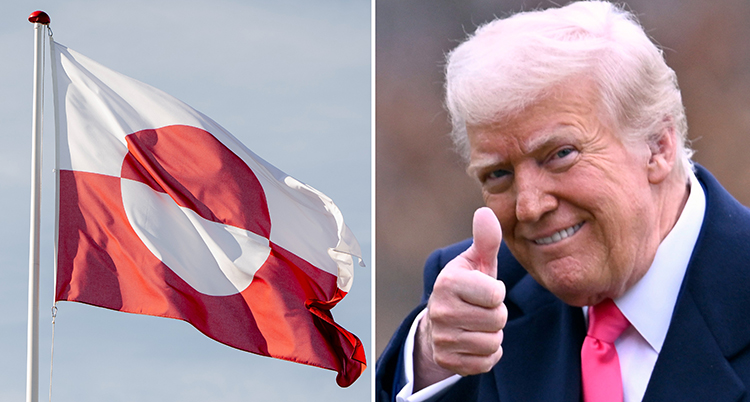 Två bilder. Till vänster är Grönlands flagga som är vit och röd. Till höger är Donald Trump som gör tumme upp.