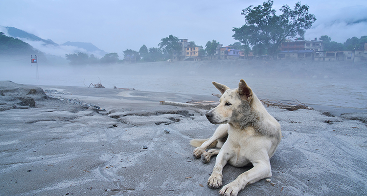 Nepal Flood