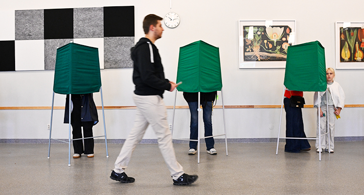 En vallokal med gröna skärmar som folk står bakom.