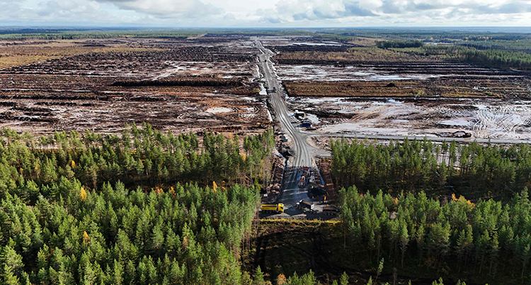 Skog och ett stort område där massor av träd har huggits ner.