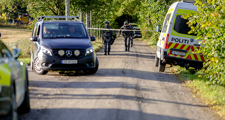 En ambulans, en polisbil och flera poliser syns på en väg nära en skog.