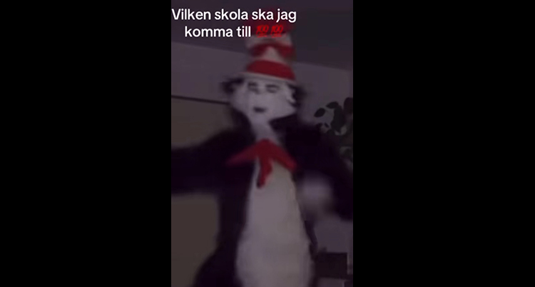 En person har klätt ut sig till Katten i hatten. Den dansar. Det står en text på bilden: Vilken skola ska jag komma till?