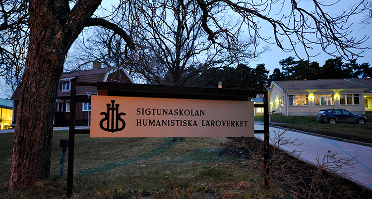 En väg syns intill flera hus och ett träd.